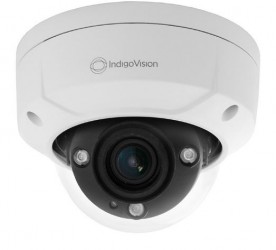 BX420 4MP Environmental Vandal Resistant Minidome Camera, Built-in IR, Standard